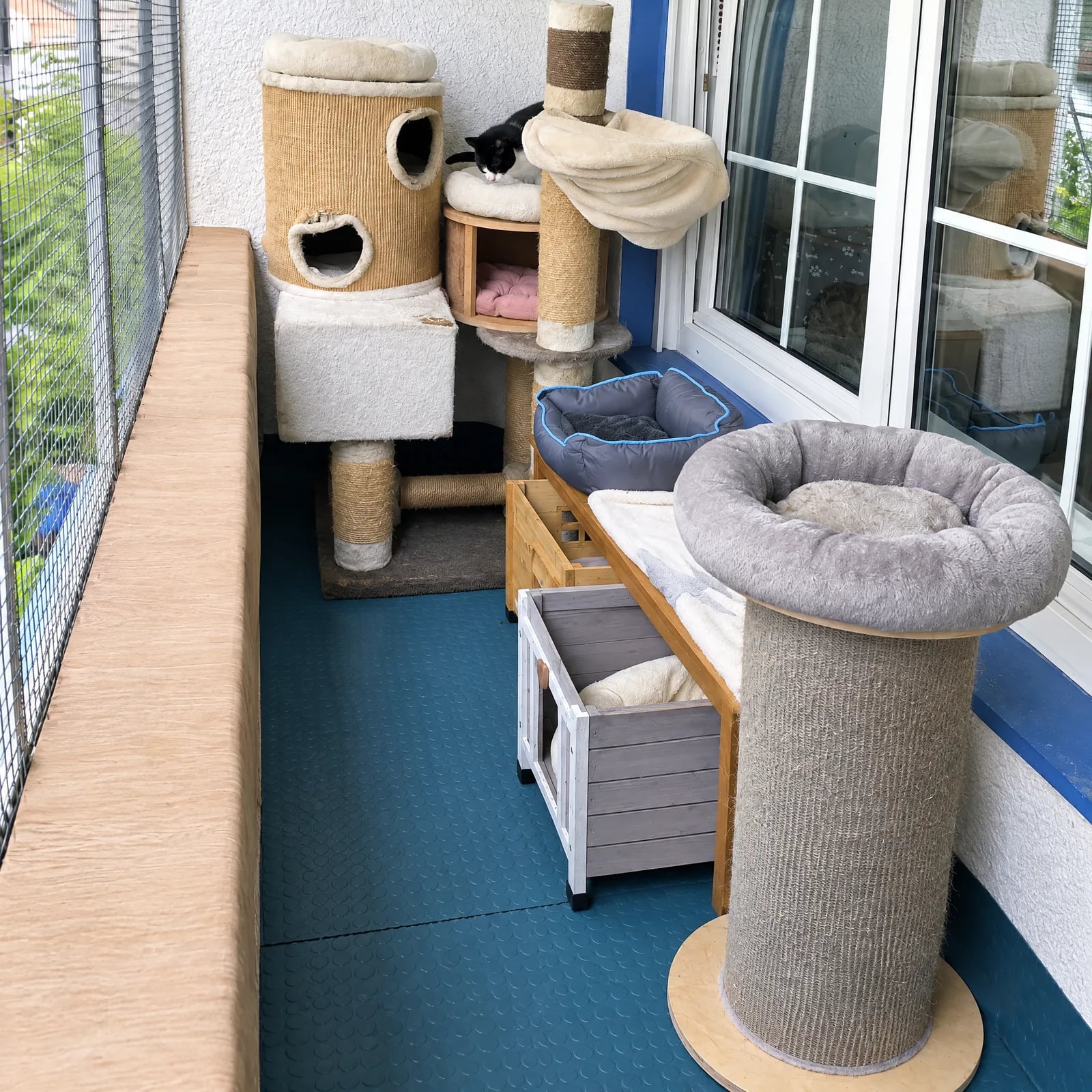Katzensicher vernetzter Sonnenbalkon des Katzenhotels mit Kratzbaum und Liegeplätzen